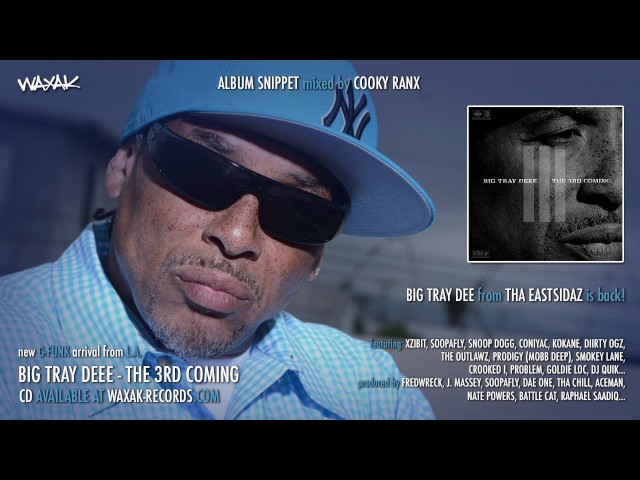 BIG TRAY DEEE - The 3rd Coming [album SNIPPET mixed by Cooky Ranx]