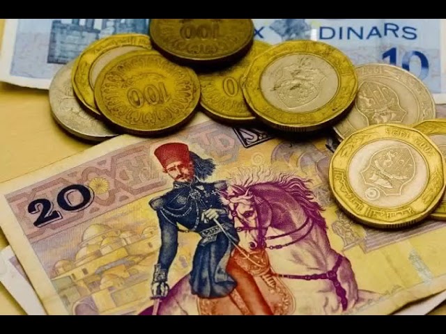 **💎 *Tunisian Dinar Infinity Glitch (T.D.I.G.)