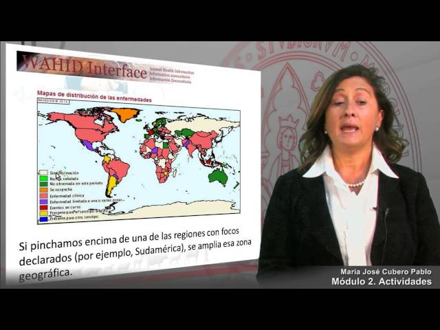 Módulo 2- Actividades