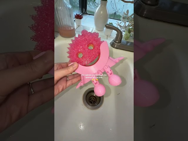 The cutest sponge holder 🫧🧽 #spongeholder #cleaninghack #tiktokshopcreatorpicks