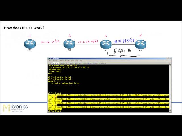 IP CEF