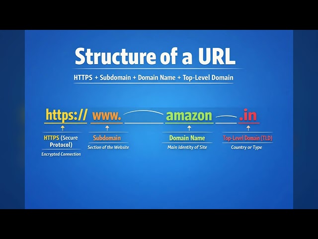 Understand Website URL #coding #url #codinglife #codingforbeginners