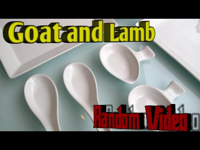 Goat & Lamb Watching... Soccer? || Random video