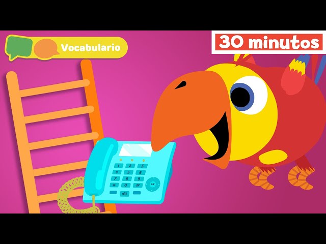 Aprender Nuevas Palabras | Vocabulario para Niños | Vocabularry con Larry | Mi Primera Universidad