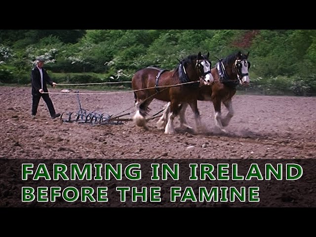 Farming in Ireland before the Potato Famine