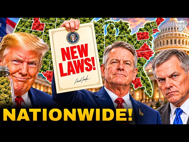 NEW WEED LAW CHANGES Across AMERICA!... Here’s What You NEED TO KNOW! 😳