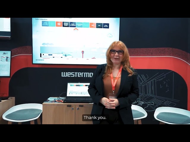Digital Twin for Railway Switches