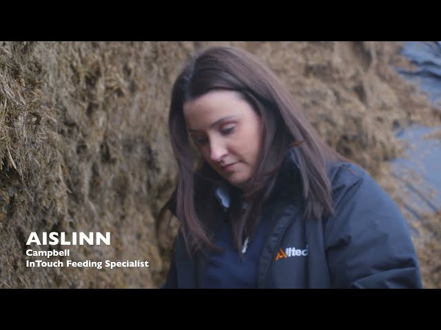 Rosevale Farm works with Alltech to mitigate against mycotoxins