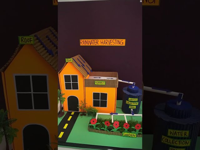 Easy 3D Rainwater Harvesting Model: Step-by-Step Science Project | How to Make Rainwater Harvesting