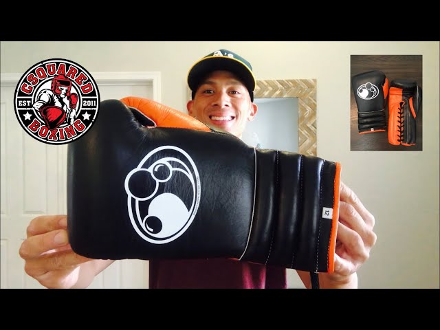 Grant Pro Lace Up Boxing Gloves REVIEW- GREAT GLOVES, BUT ARE THEY WORTH THE PRICE?