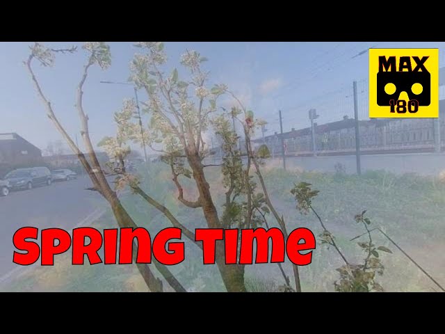Spring time (VR180 - 3D)