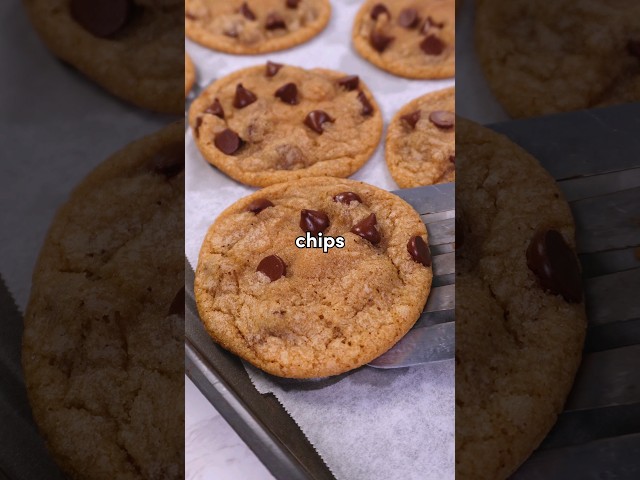 The BEST holiday chocolate chip cookies you'll ever bake!