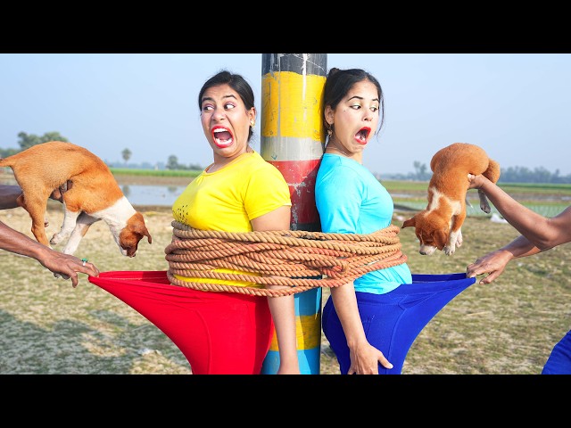 Funniest Fun Pregnant Top New Comedy Video 2026 😂 amazing best of funny video Ep 255 By Our Fun Tv