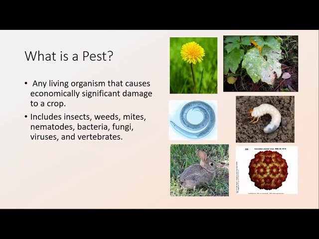 Introducton to Integrated Pest Management