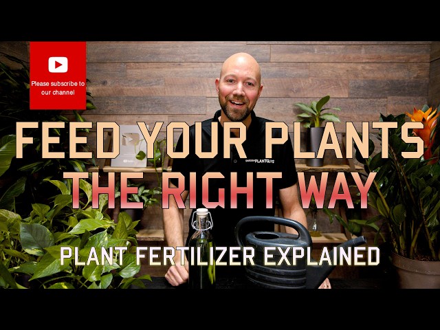 Feed Your Plants the Right Way - Plant Fertilizer Explained.