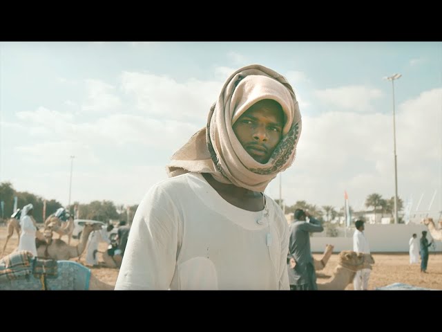 Dubai Camel Racing Festival 2024 | 1 minute video