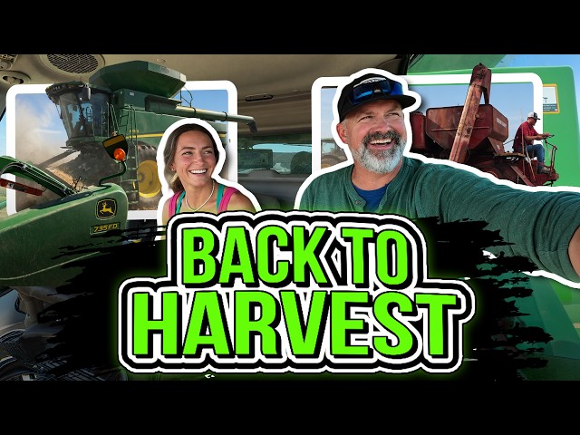 Combine is still broken, I visit My Daughter