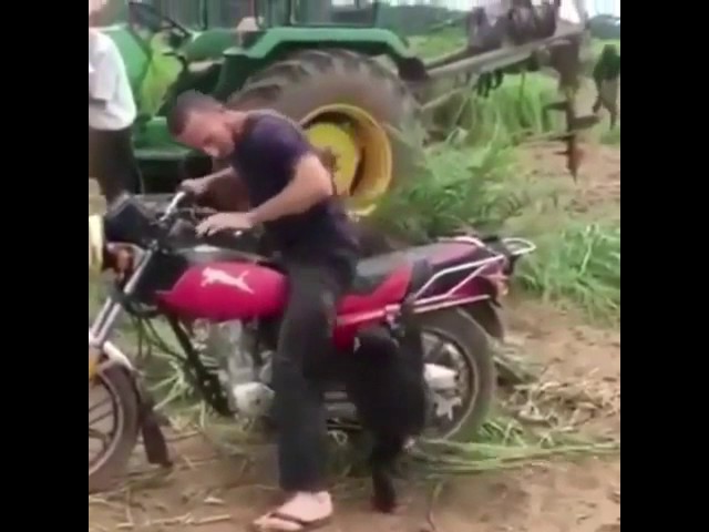 Video lucu