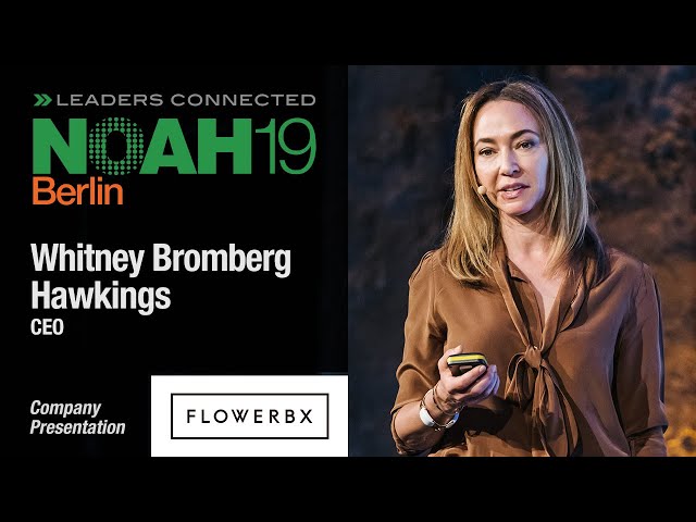 FLOWERBX - NOAH19 Berlin