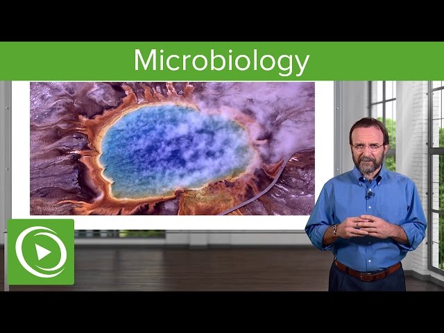 Microbiology – Course Preview | Lecturio