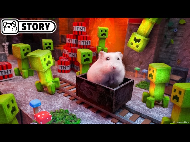 Minecraft in Real Life: Hamster Maze Adventure 🐹 Homura Ham