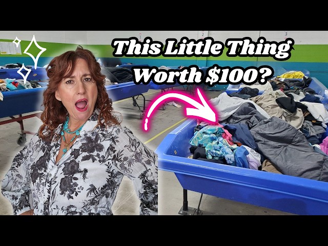 My BEST Find Of The Day Might SURPRISE You! ~ Goodwill Outlet Bins Thrifting