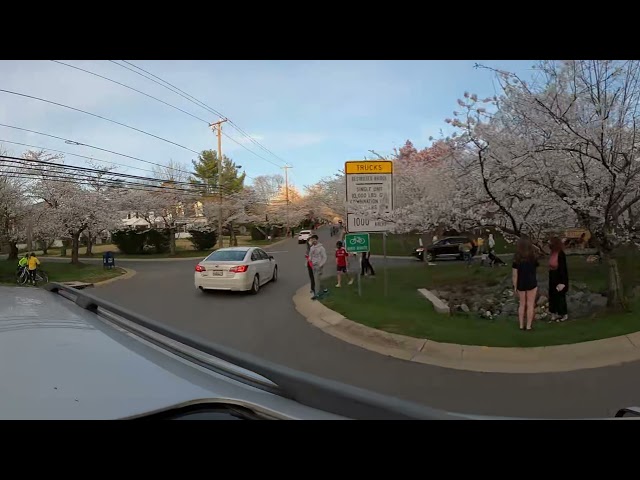 Primavera em Bethesda 360
