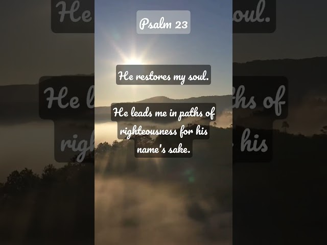 Psalm 23 | One Minute Scripture