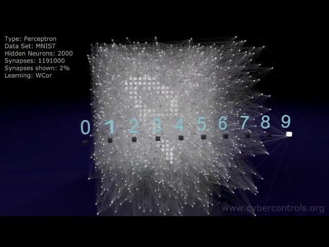 Neural Network 3D Simulation