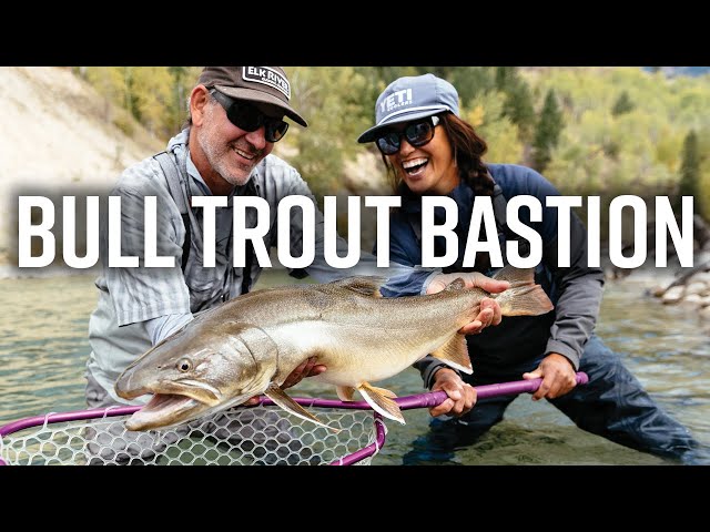 Bull Trout Bastion