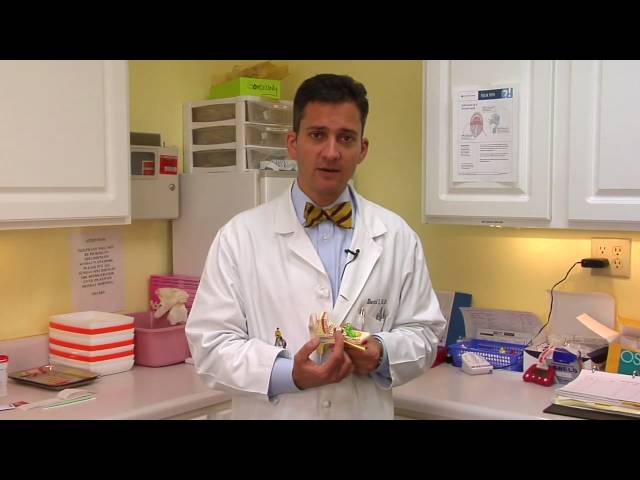Ear Problems & Infections : How to Clear a Clogged Ear