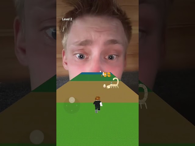 Roblox Steal An Egg ich bin so Gut OMG 😱 #shorts