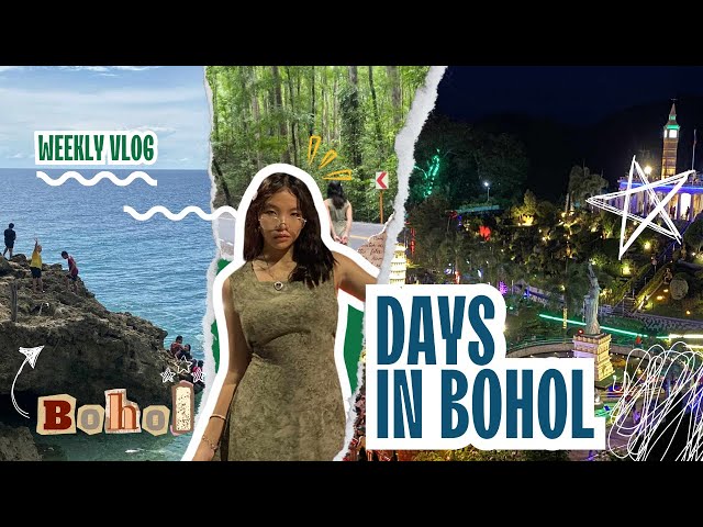｡𖦹°‧Bohol Vlog || 17 : Travel, Celebration, beach, Spring, Man-made forest, Sikatuna, and more! 🌃🐚✨