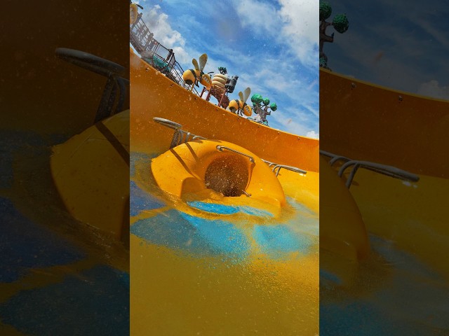 Weird Bowl Water Slide in Tennessee #shorts #waterpark #SoakyMountain