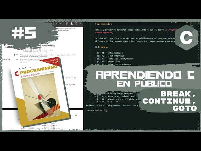 Sentencias de salida en C: break, continue y goto | #5