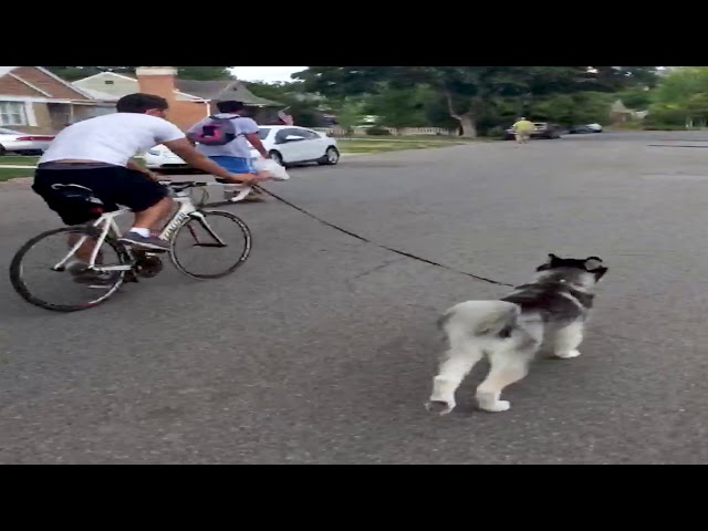Chris & Sasha Biking With My Baby Girl