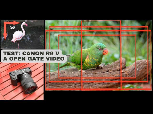 Canon R6 V a Open Gate video  - proč točit “na celý snímač”