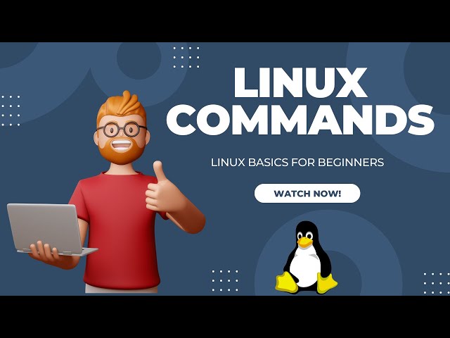 Linux Commands for Beginners: How to Install Linux and Master Basic Commands