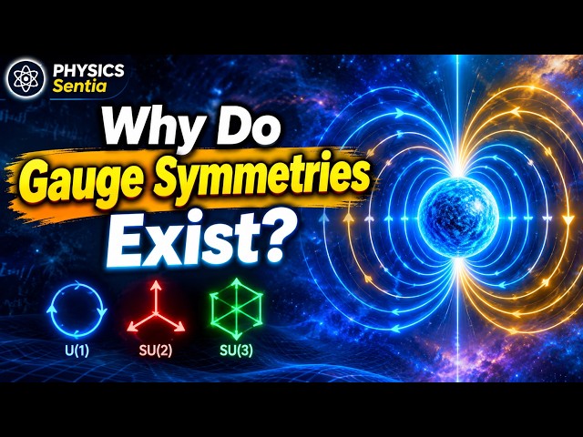 Why Do Gauge Symmetries Exist?