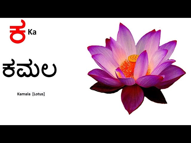 Kannada alphabets// ಕನ್ನಡ ವರ್ಣಮಾಲೆಗಳು//Kannaḍa varṇamālegaḷu// Kannada alphabets ಕ ಖ ಗ ಘ ಙ ಚ
