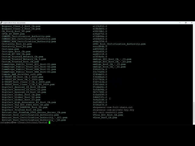 Install SSL/TLS certificate in NGINX in a Linux server