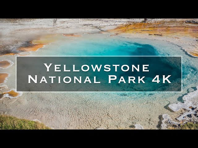 Yellowstone National Park 4K