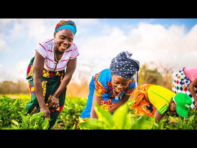 Creating sustainable livelihoods through local development programmes – Gemfields x Nat Geo