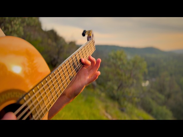 BERNTH - Farewell (Fingerstyle Guitar Cover)