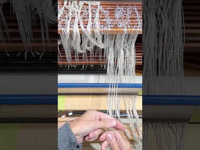 Sleying the Reed!