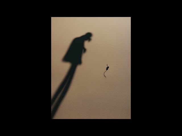 A Glance at the Ground