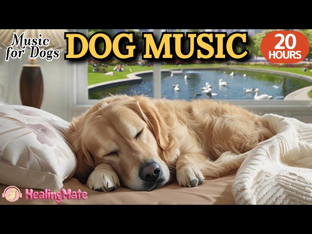 20 HOURS of Dog Calming Music🐶🎵Soothing Dog Music for Separation Anxiety🐶💖Deep Sleep Music for Dog