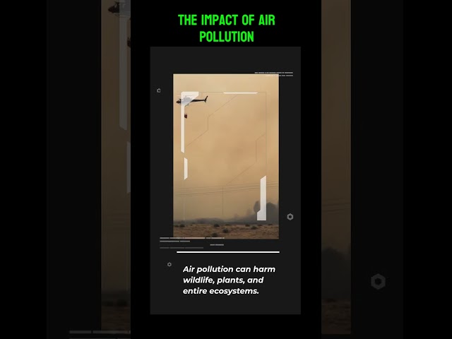 The Impact of Air Polluton on YOUR Health | #shorts