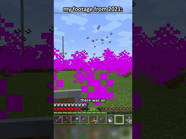 The WEIRDEST Thing That's Happened to Me in Minecraft...