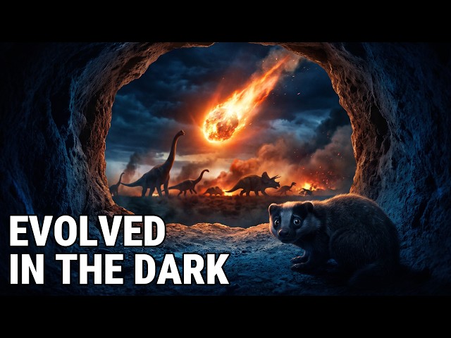 The Evolution of Night Vision, Hearing, and Smell — How Animals Conquered the Dark
